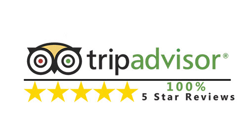 TripAdvisor 5-Star Review Badge